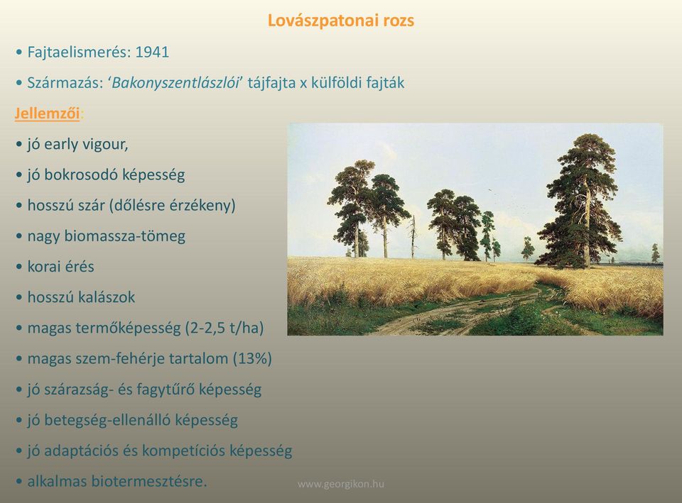 korai érés hosszú kalászok magas termőképesség (2-2,5 t/ha) magas szem-fehérje tartalom (13%) jó