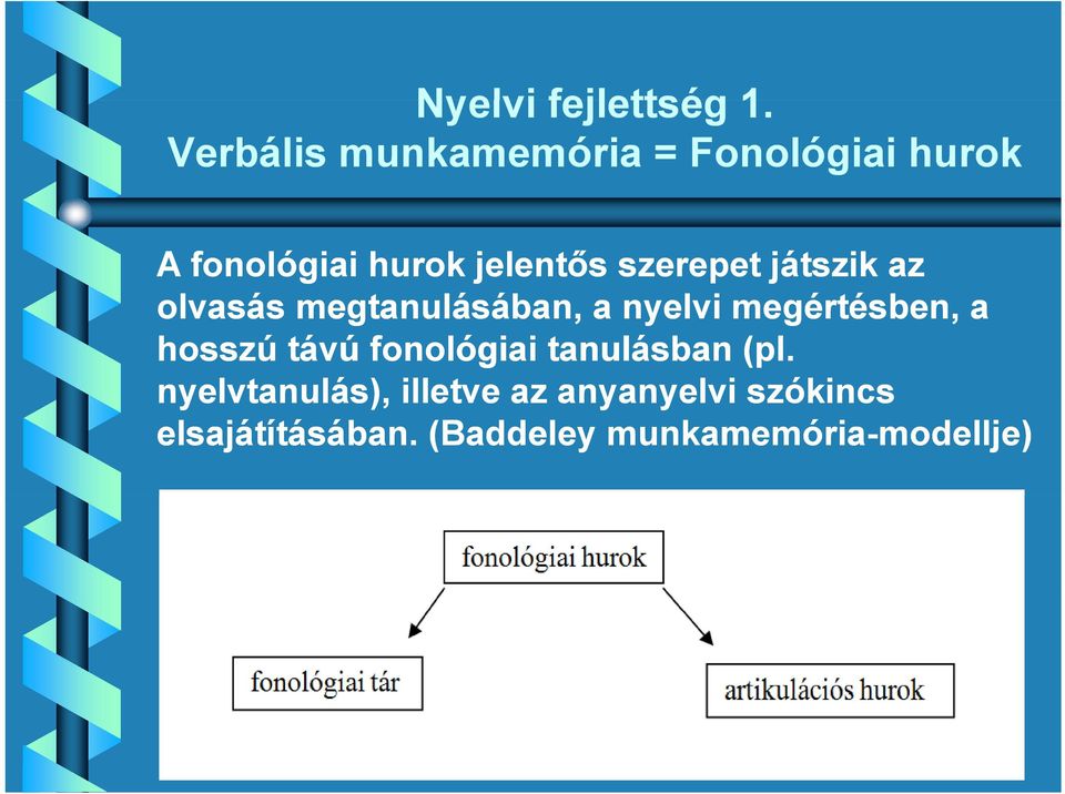 szerepet játszik az olvasás megtanulásában, áb a nyelvi megértésben, a