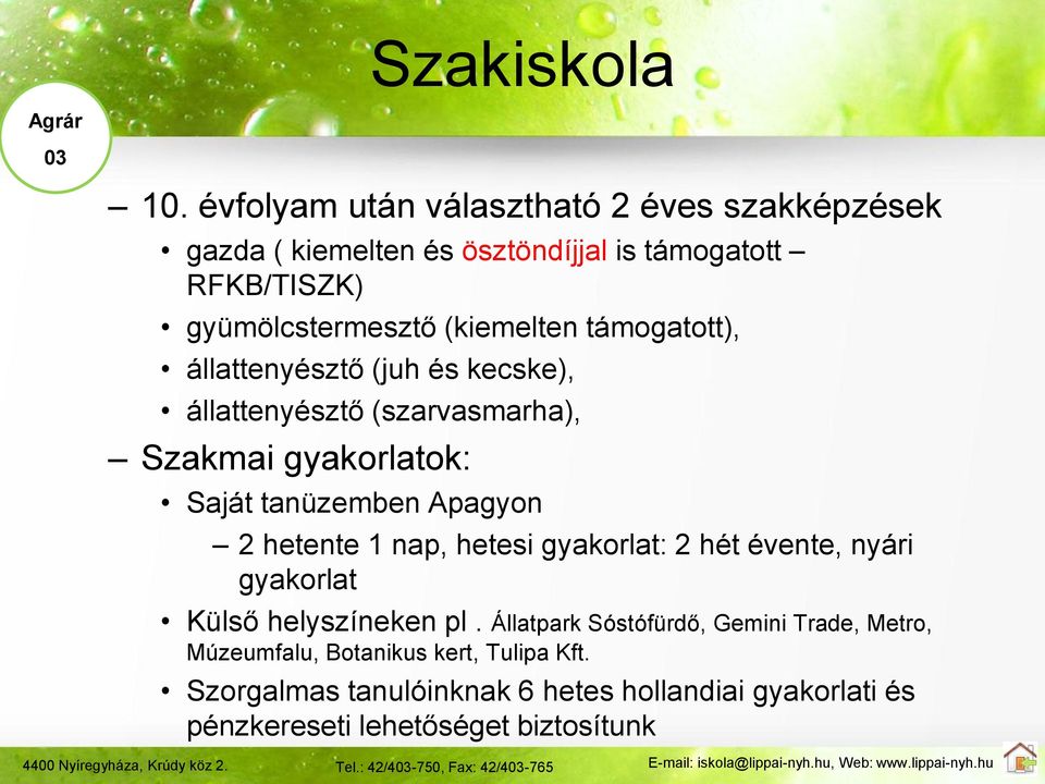 támogatott), állattenyésztő (juh és kecske), állattenyésztő (szarvasmarha), Szakmai gyakorlatok: Saját tanüzemben Apagyon 2 hetente 1