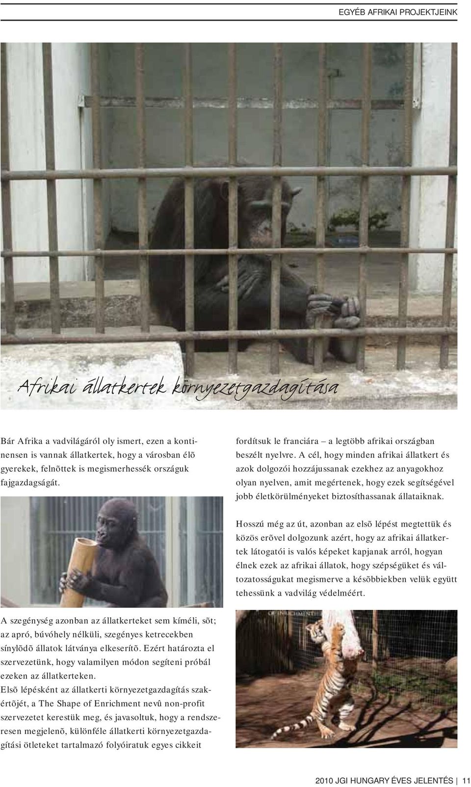 fajgazdagságát. fordítsuk le franciára a legtöbb afrikai országban beszélt nyelvre.
