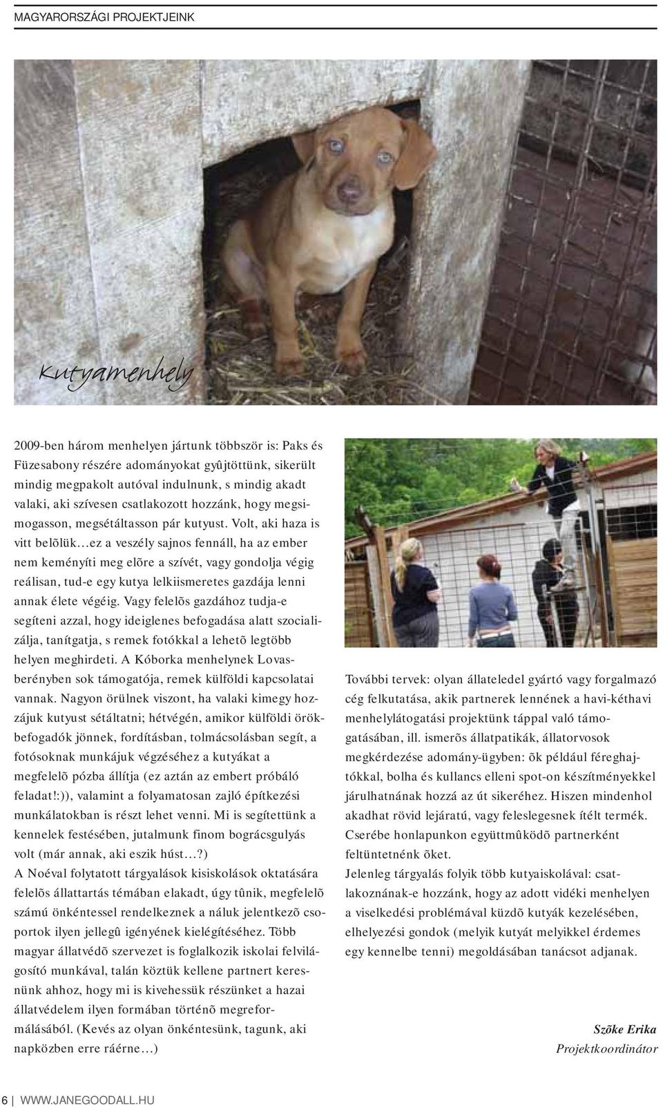 Volt, aki haza is vitt belõlük ez a veszély sajnos fennáll, ha az ember nem keményíti meg elõre a szívét, vagy gondolja végig reálisan, tud-e egy kutya lelkiismeretes gazdája lenni annak élete végéig.