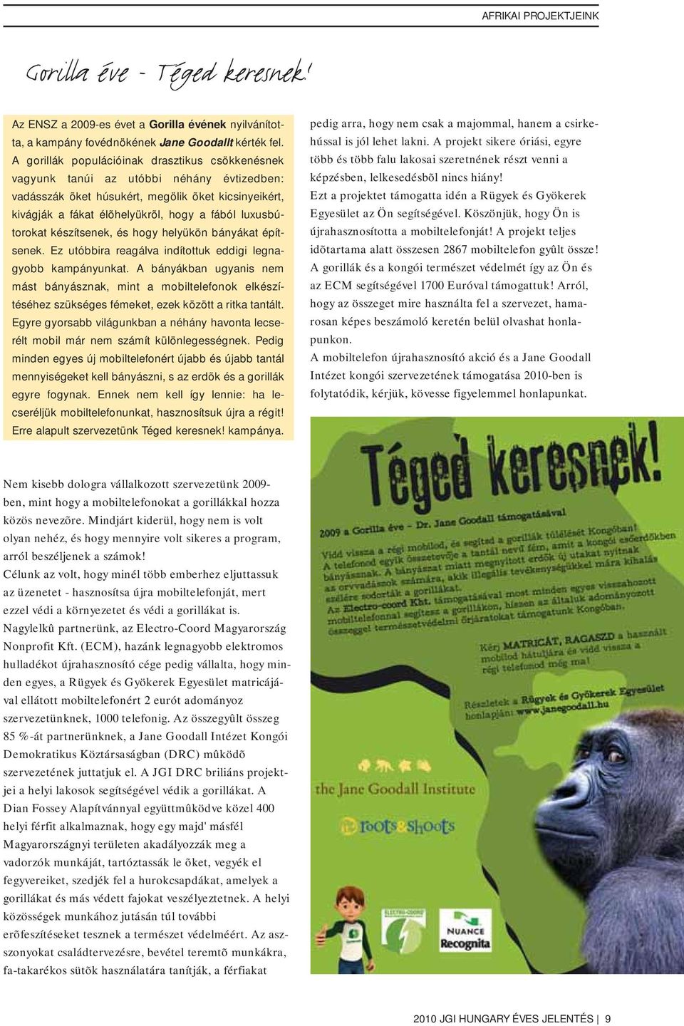 luxusbútorokat készítsenek, és hogy helyükön bányákat építsenek. Ez utóbbira reagálva indítottuk eddigi legnagyobb kampányunkat.