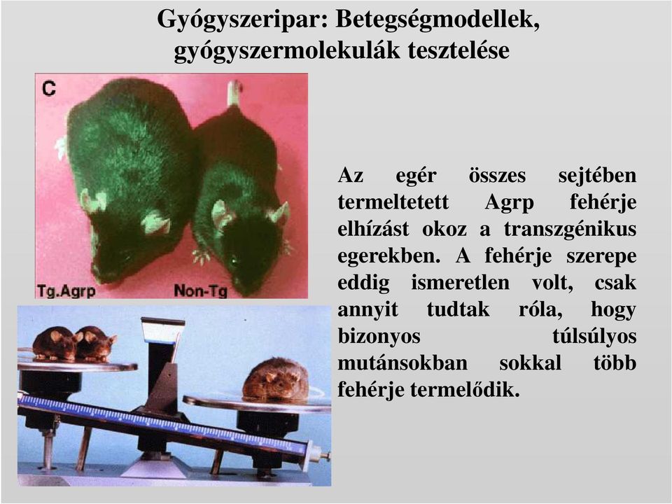 egerekben.
