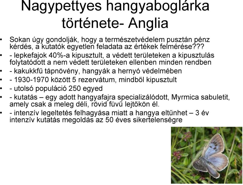 hernyó védelmében - 1930-1970 között 5 rezervátum, mindből kipusztult - utolsó populáció 250 egyed - kutatás egy adott hangyafajra specializálódott, Myrmica
