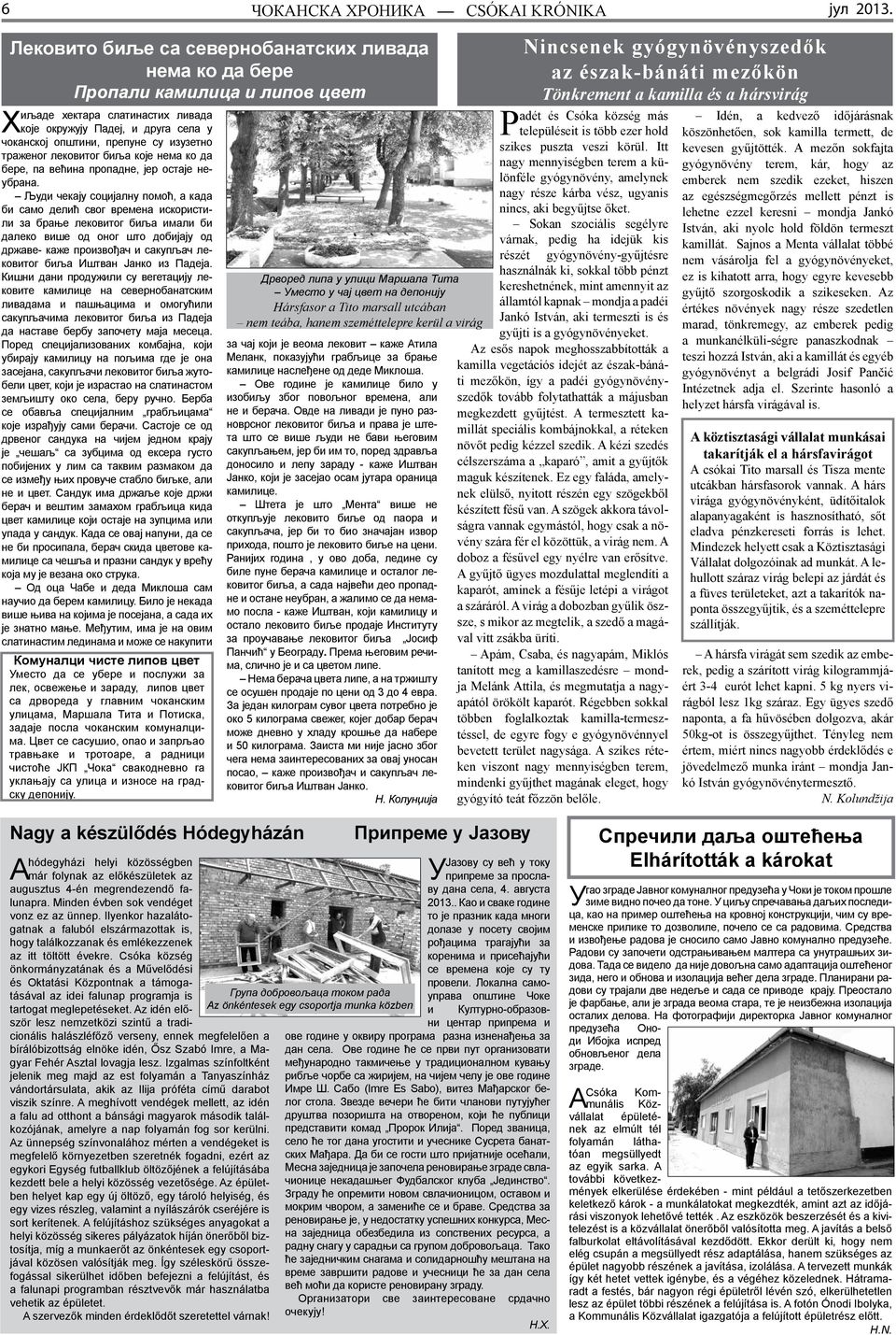 траженог лековитог биља које нема ко да бере, па већина пропадне, јер остаје неубрана.