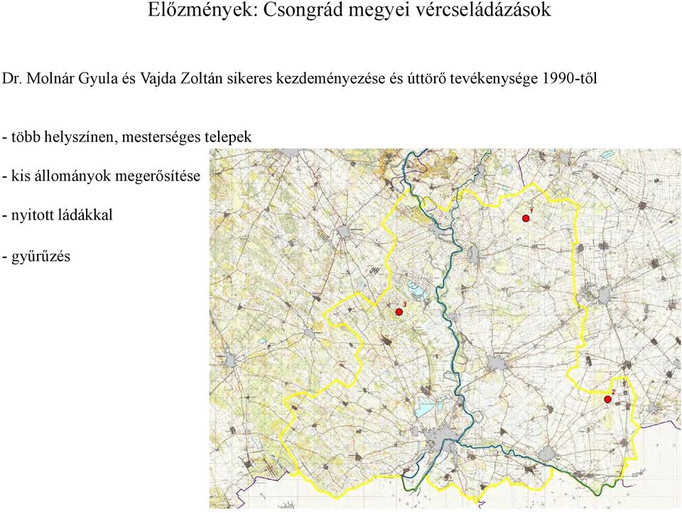 úttörő tevékenysége 1990-től - több helyszínen,