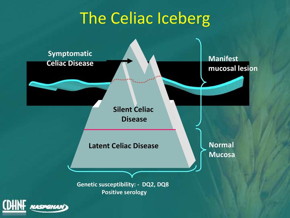 Celiac Disease Latent Celiac Disease Normal