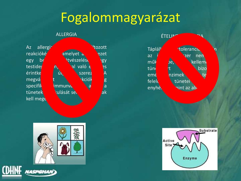 A megváltozott reakciókészség specifikus immunválasz, ahol a tünetek kialakulását sensibilisatiónak kell megelőzni.