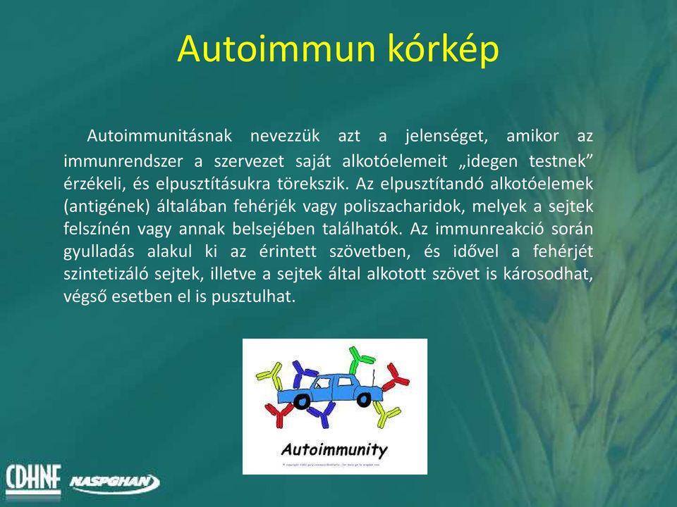 Az elpusztítandó alkotóelemek (antigének) általában fehérjék vagy poliszacharidok, melyek a sejtek felszínén vagy annak