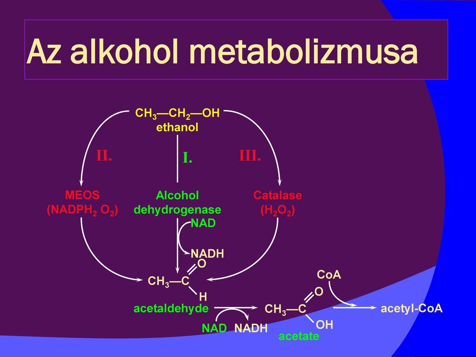 MEOS (NADPH 2 O 2 ) Alcohol dehydrogenase NAD