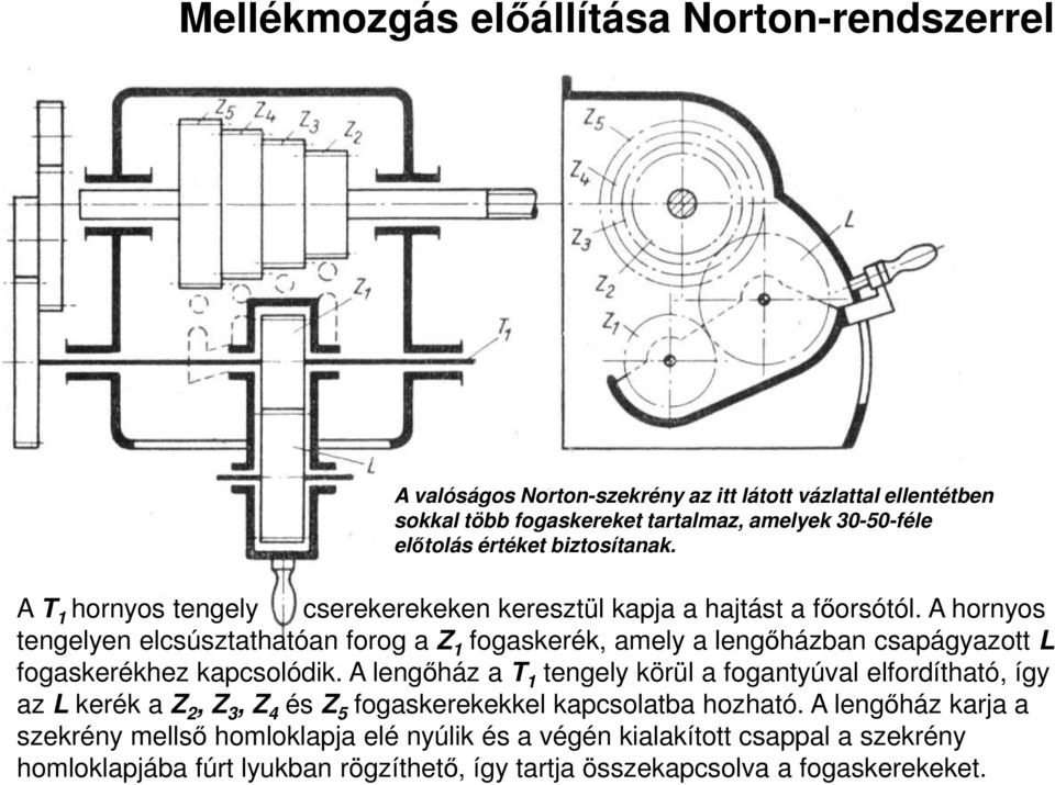 A hornyos tengelyen elcsúsztathatóan forog a Z 1 fogaskerék, amely a lengıházban csapágyazott L fogaskerékhez kapcsolódik.