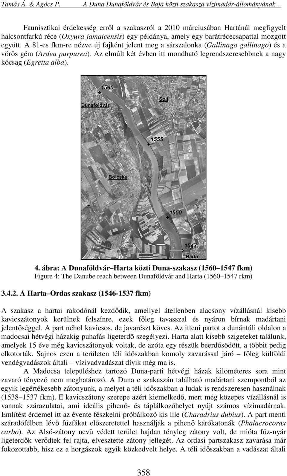 ábra: A Dunaföldvár Harta közti Duna-szakasz (156 1547 fkm) Figure 4: The Danube reach between Dunaföldvár and Harta (156 1547 rkm) 3.4.2.