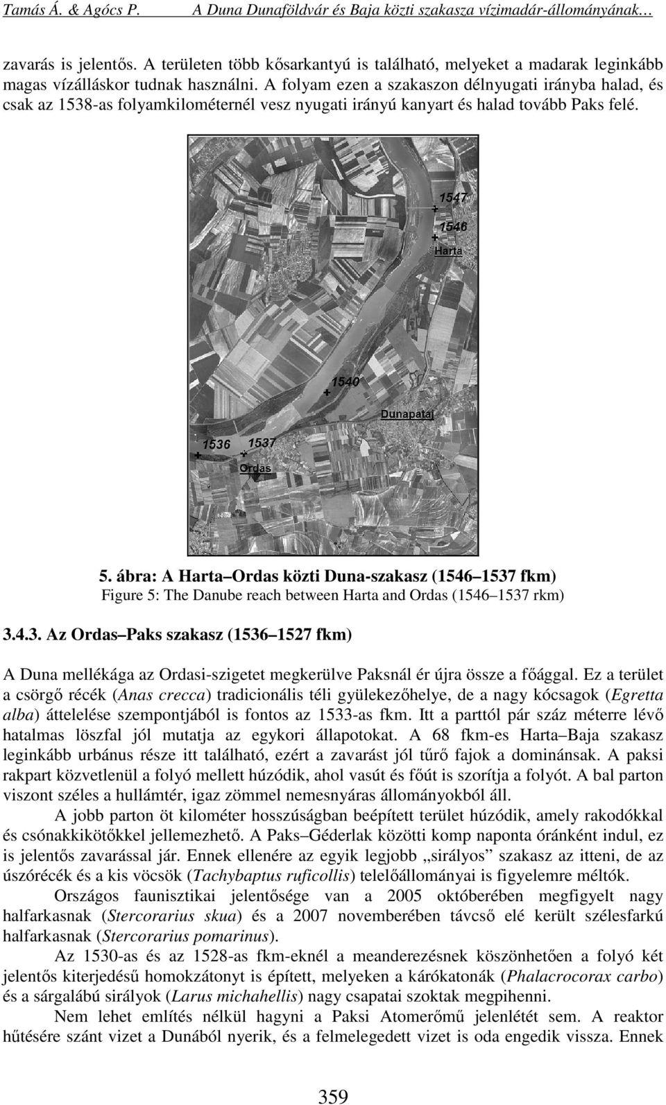 ábra: A Harta Ordas közti Duna-szakasz (1546 1537 fkm) Figure 5: The Danube reach between Harta and Ordas (1546 1537 rkm) 3.4.3. Az Ordas Paks szakasz (1536 1527 fkm) A Duna mellékága az Ordasi-szigetet megkerülve Paksnál ér újra össze a főággal.