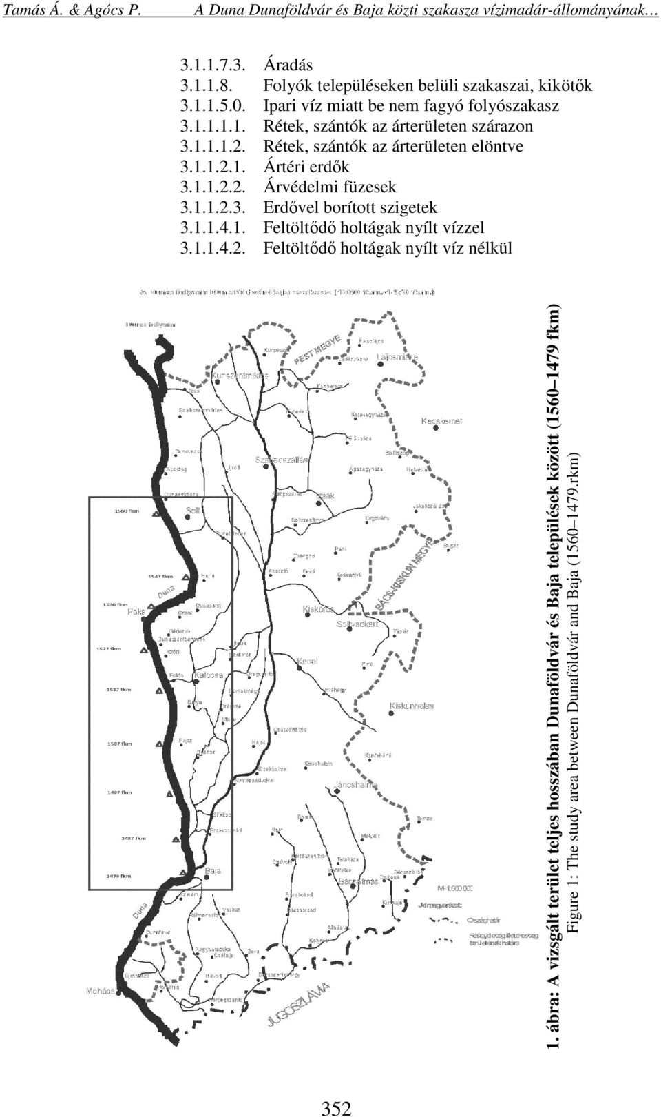 1. Feltöltődő holtágak nyílt vízzel 3.1.1.4.2. Feltöltődő holtágak nyílt víz nélkül 1.