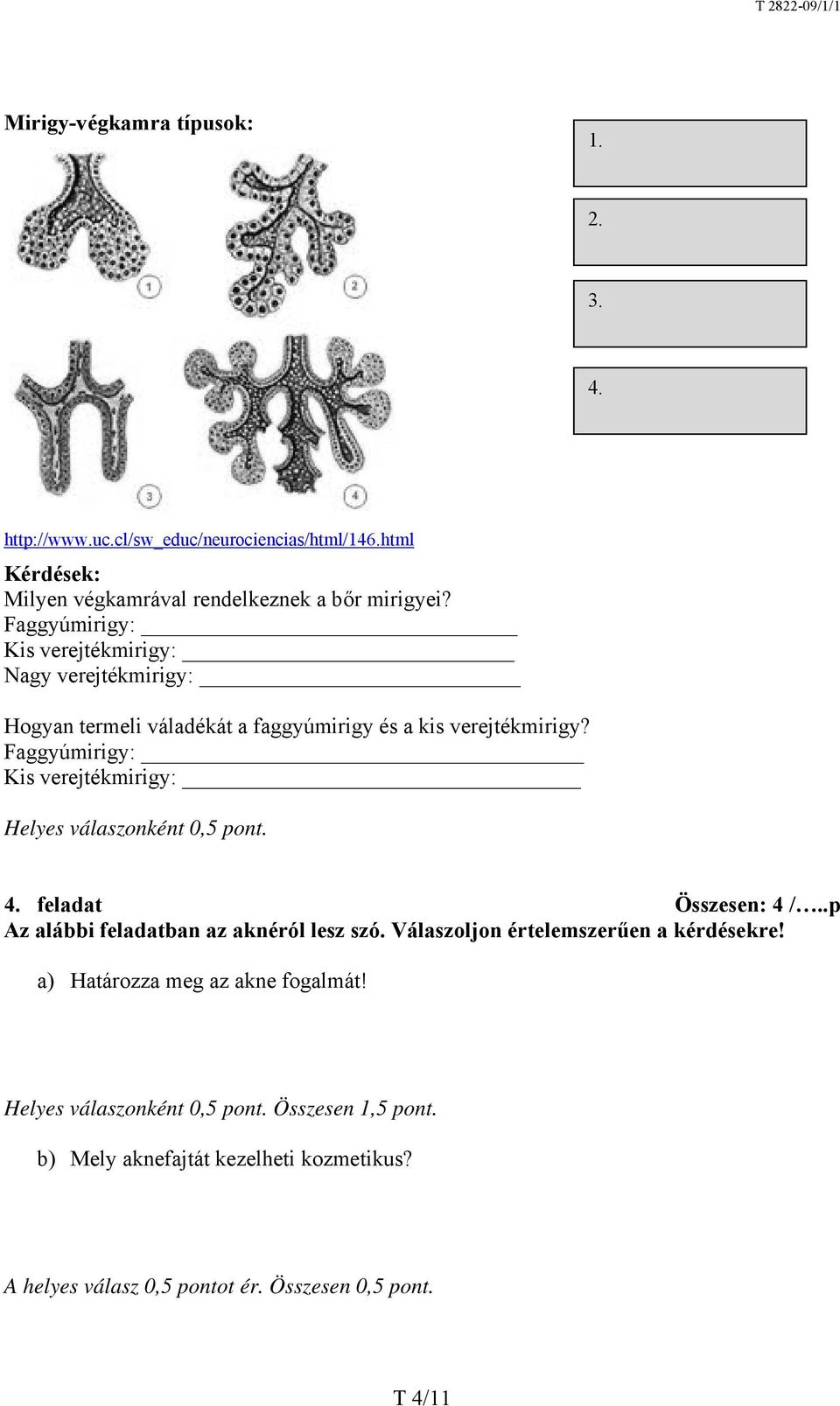 Faggyúmirigy: Kis verejtékmirigy: Nagy verejtékmirigy: Hogyan termeli váladékát a faggyúmirigy és a kis verejtékmirigy?