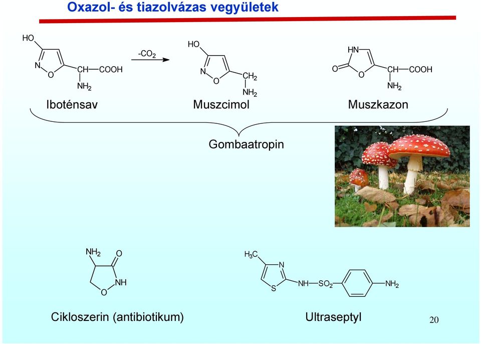 Muszkazon Gombaatropin 2 3 C S S 2 2