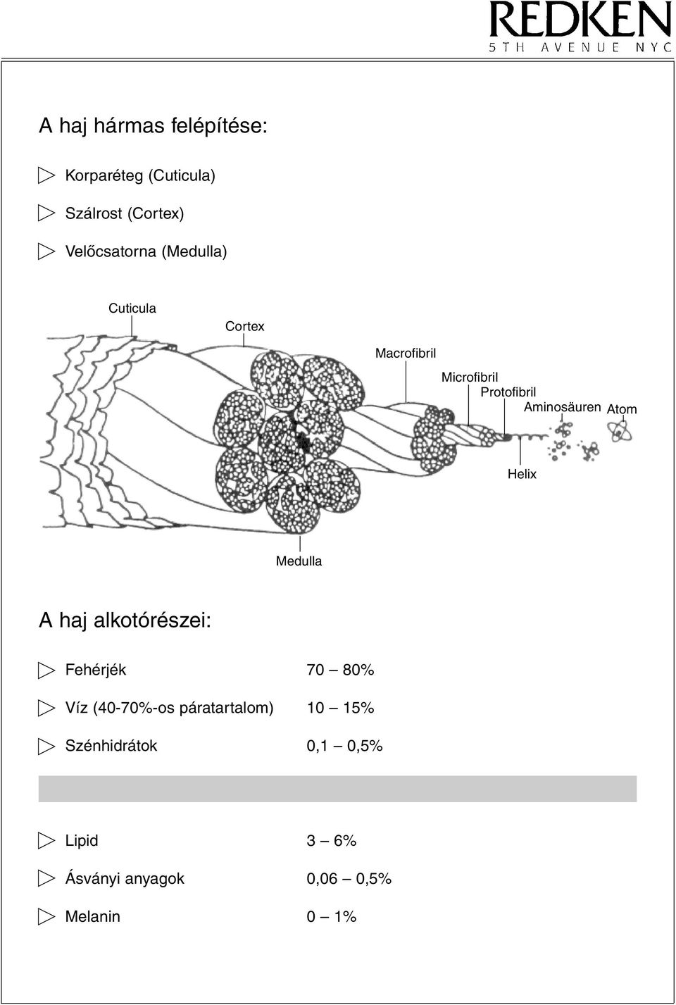 Helix Medulla A haj alkotórészei: Fehérjék 70 80% Víz (40-70%-os páratartalom)