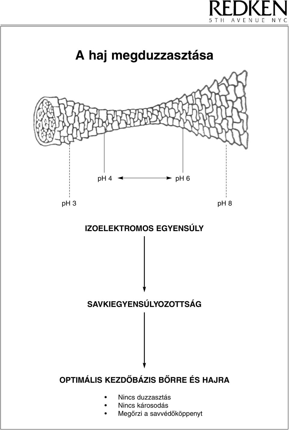 SAVKIEGYENSÚLYOZOTTSÁG OPTIMÁLIS KEZDÔBÁZIS