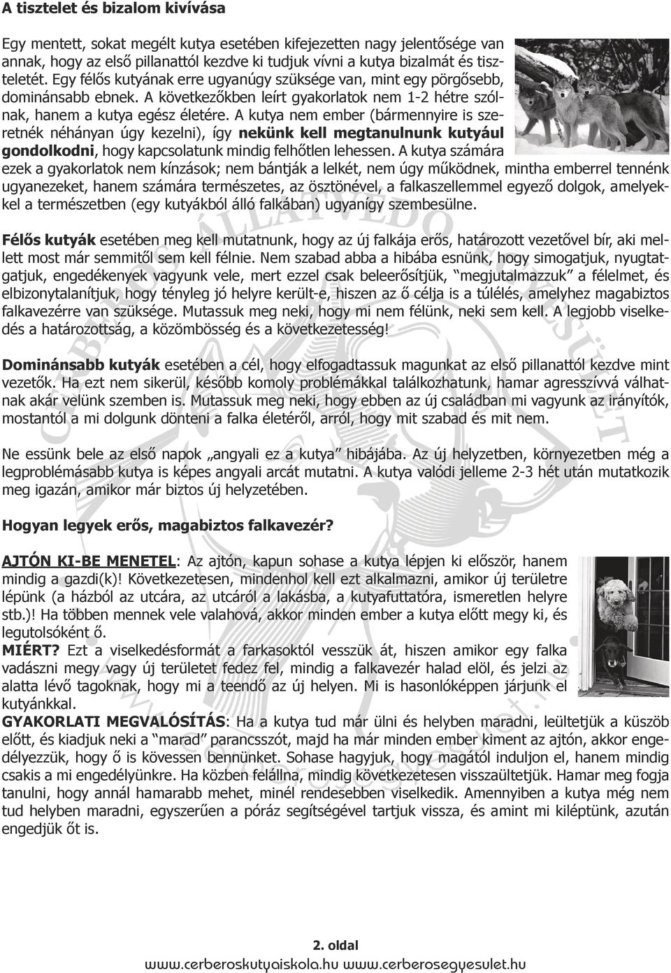 A kutya nem ember (bármennyire is szeretnék néhányan úgy kezelni), így nekünk kell megtanulnunk kutyául gondolkodni, hogy kapcsolatunk mindig felhőtlen lehessen.