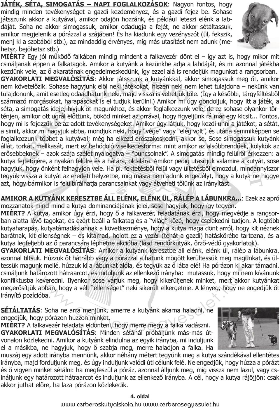 Soha ne akkor simogassuk, amikor odadugja a fejét, ne akkor sétáltassuk, amikor megjelenik a pórázzal a szájában! És ha kiadunk egy vezényszót (ül, fekszik, menj ki a szobából stb.