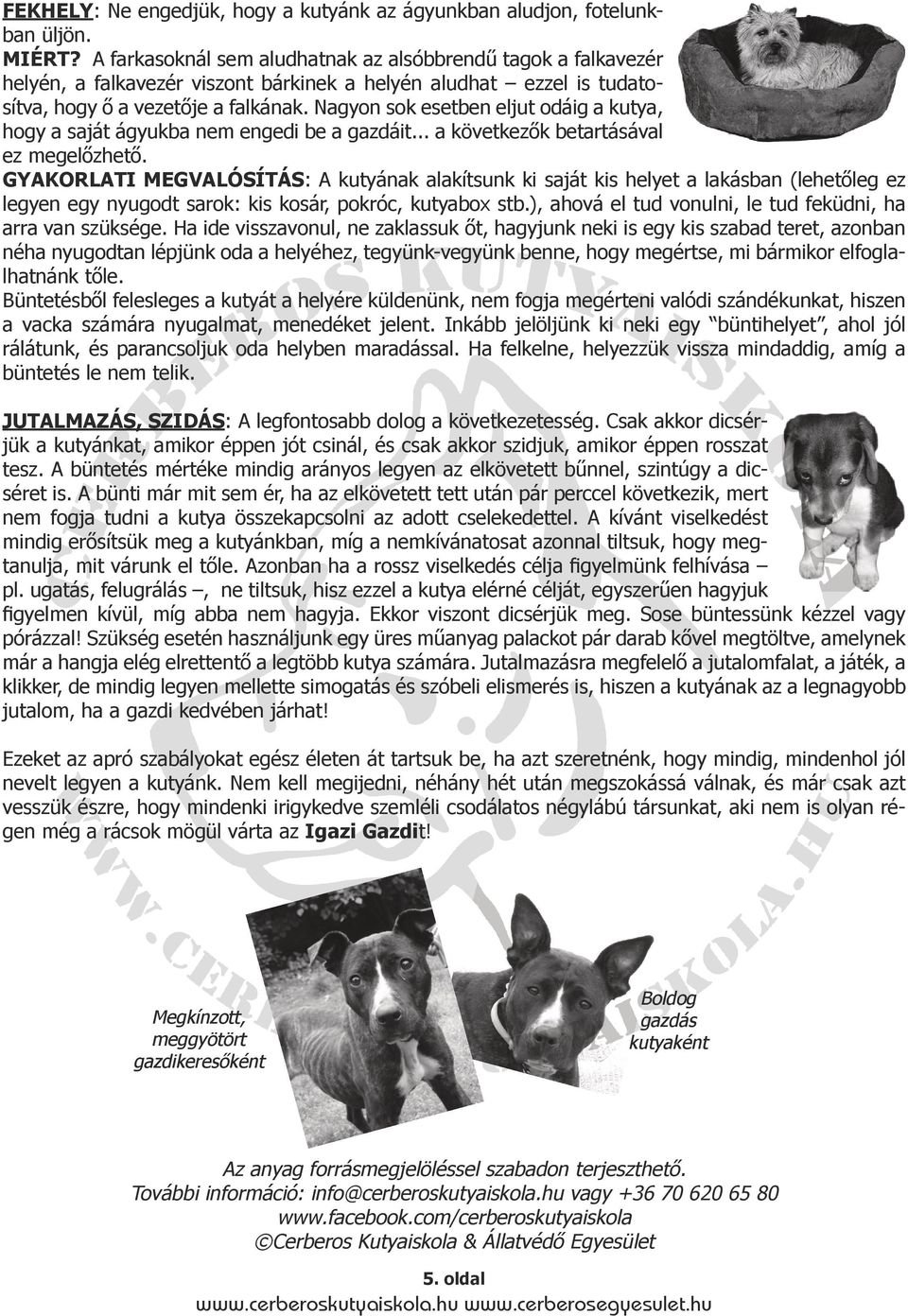 Nagyon sok esetben eljut odáig a kutya, hogy a saját ágyukba nem engedi be a gazdáit... a következők betartásával ez megelőzhető.