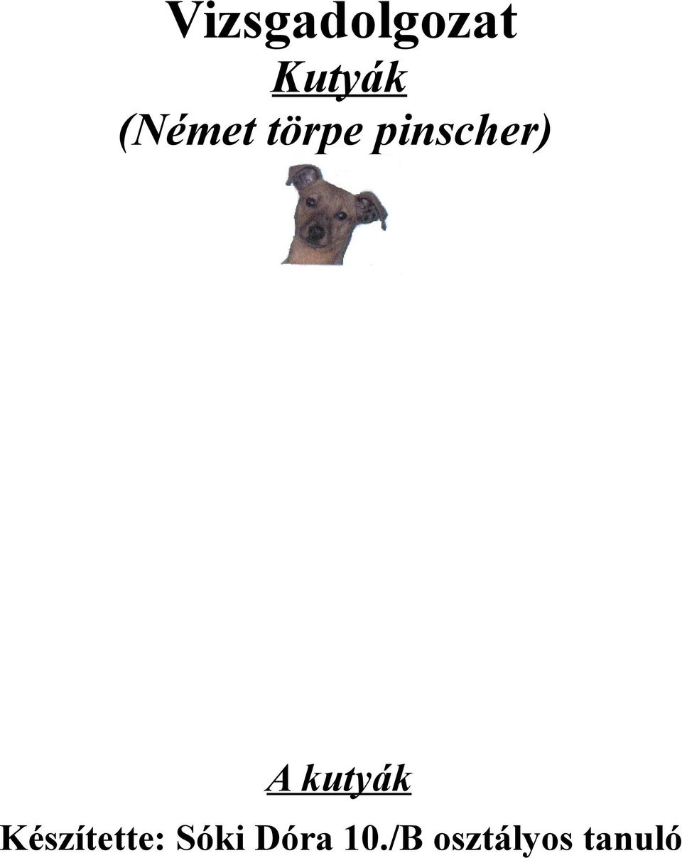 kutyák Készítette: Sóki