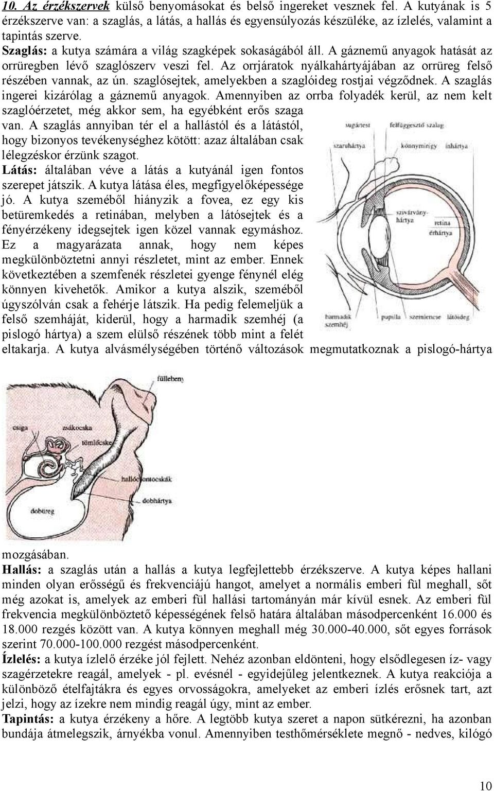 szaglósejtek, amelyekben a szaglóideg rostjai végződnek. A szaglás ingerei kizárólag a gáznemű anyagok.