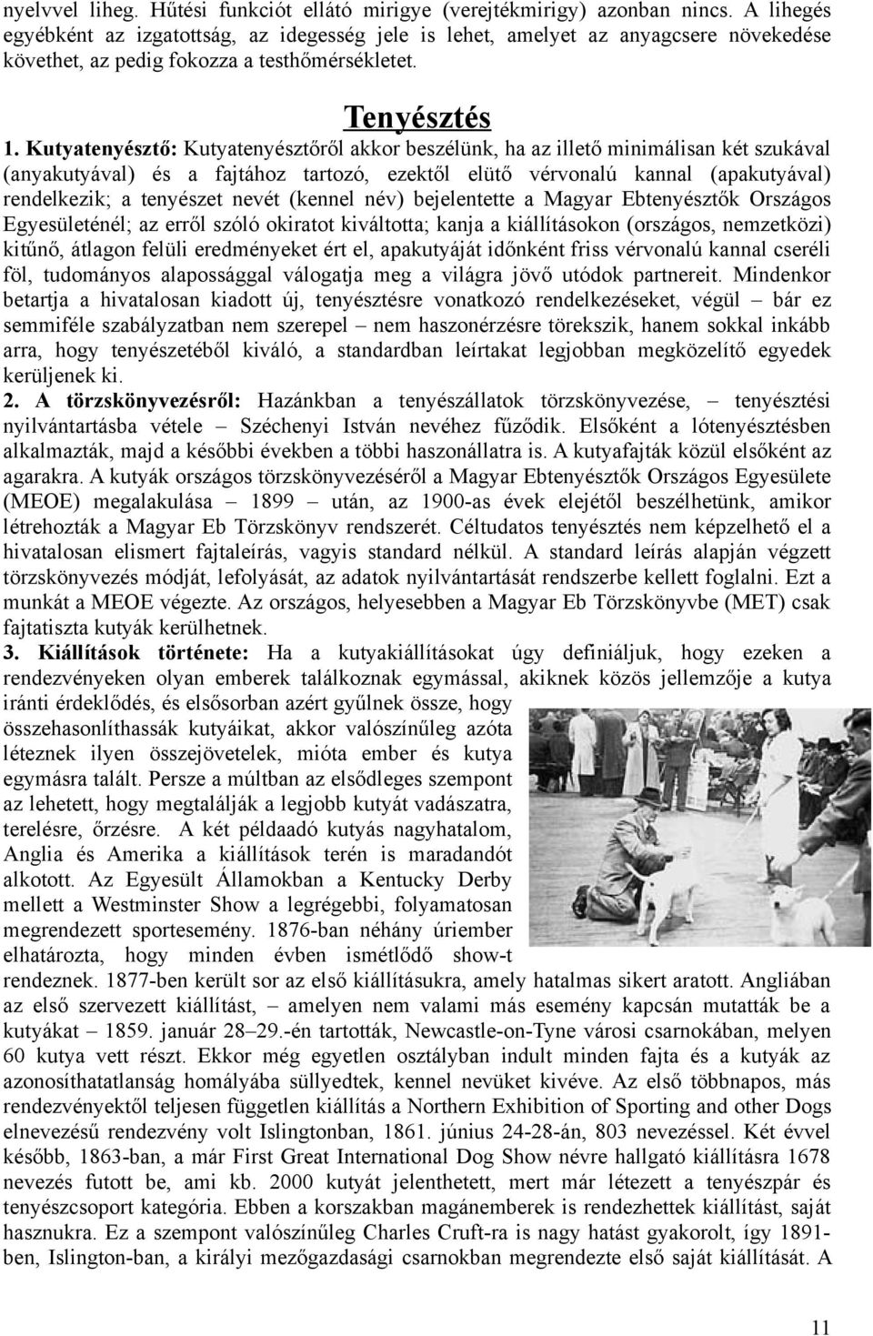 Kutyatenyésztő: Kutyatenyésztőről akkor beszélünk, ha az illető minimálisan két szukával (anyakutyával) és a fajtához tartozó, ezektől elütő vérvonalú kannal (apakutyával) rendelkezik; a tenyészet