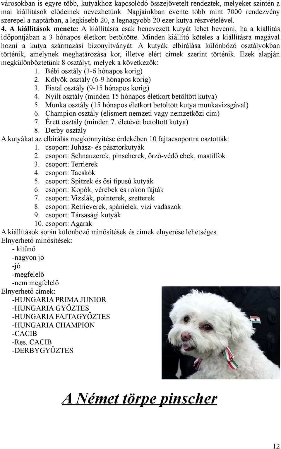 A kiállítások menete: A kiállításra csak benevezett kutyát lehet bevenni, ha a kiállítás időpontjában a 3 hónapos életkort betöltötte.