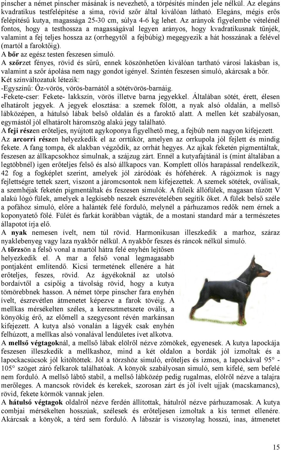 Az arányok figyelembe vételénél fontos, hogy a testhossza a magasságával legyen arányos, hogy kvadratikusnak tűnjék, valamint a fej teljes hossza az (orrhegytől a fejbúbig) megegyezik a hát hosszának