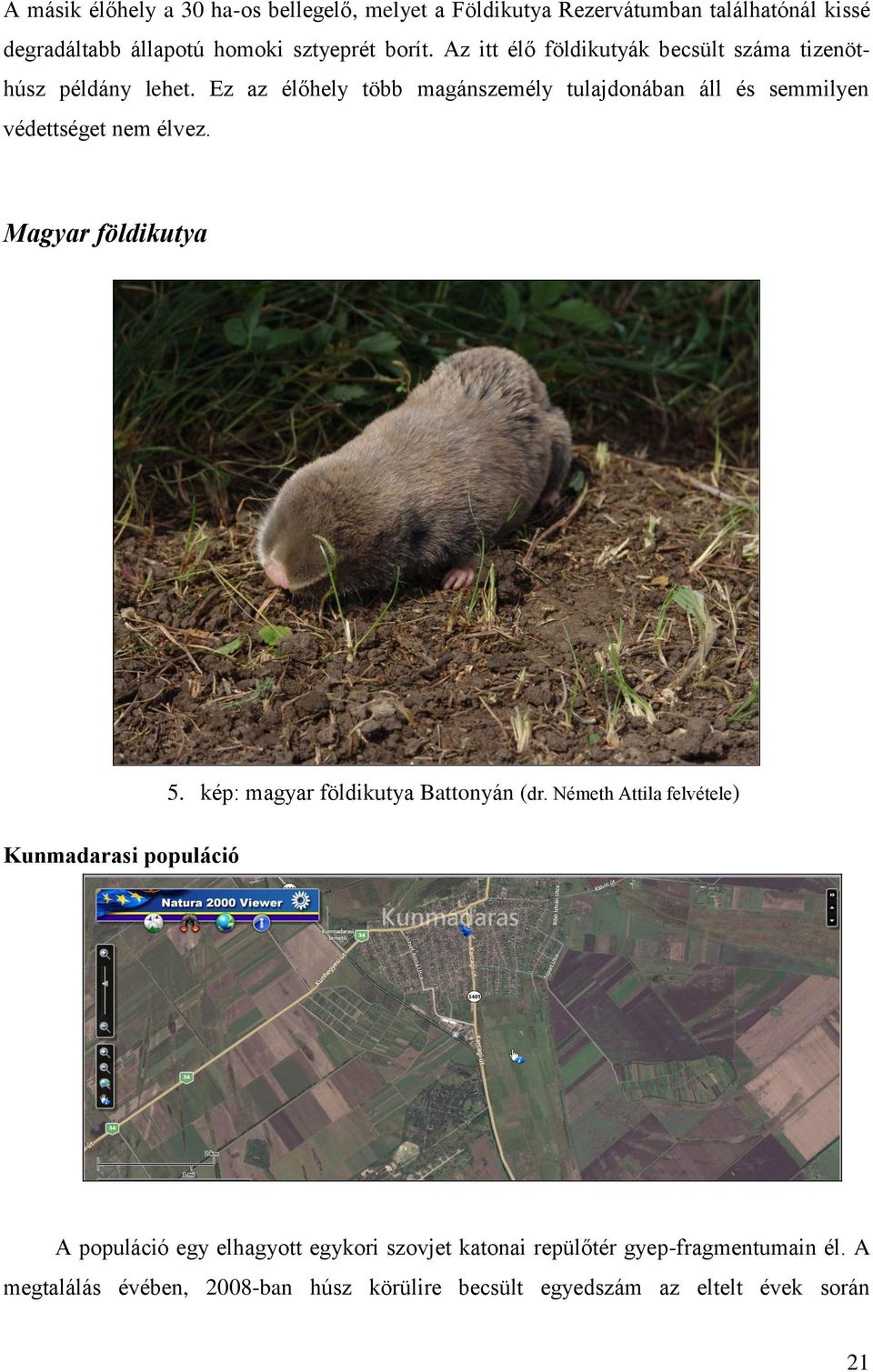 Ez az élőhely több magánszemély tulajdonában áll és semmilyen védettséget nem élvez. Magyar földikutya 5.