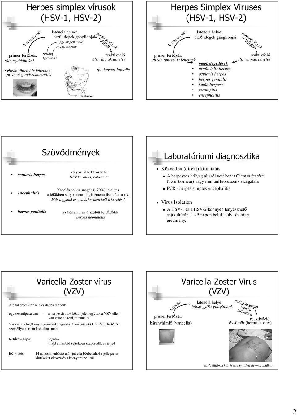 herpes genitalis Szövődmények súlyos látás károsodás HSV keratitis, cataracta Kezelés nélkül magas (~70%) letalitás túlélőkben súlyos neurológiai/mentális defektusok.