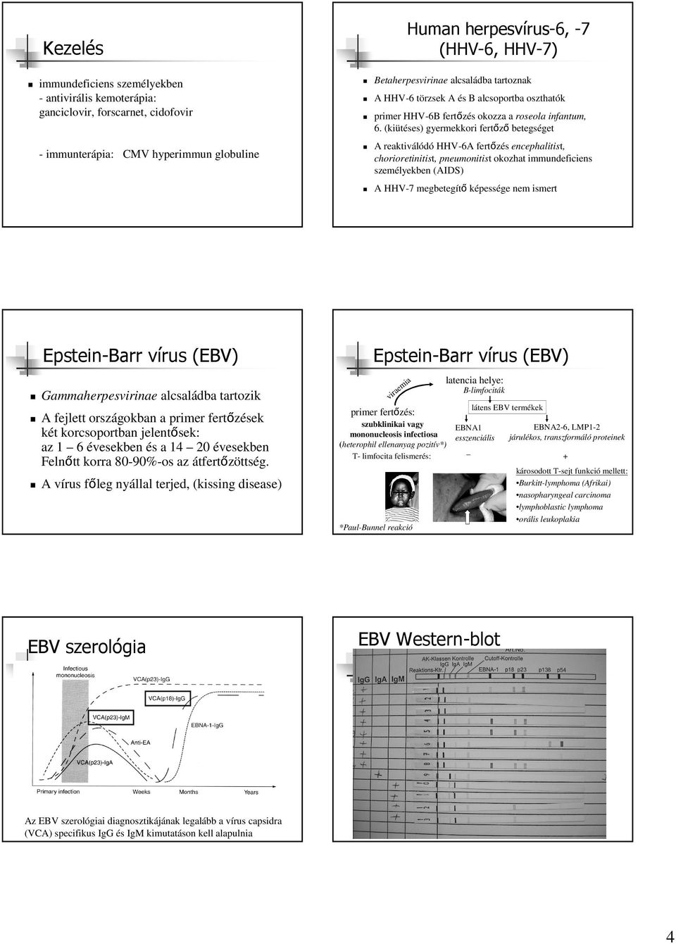 Betaherpesvirinae alcsaládba tartoznak A HHV-6 törzsek A és B alcsoportba oszthatók primer HHV-6B fertőzés okozza a roseola infantum, 6.