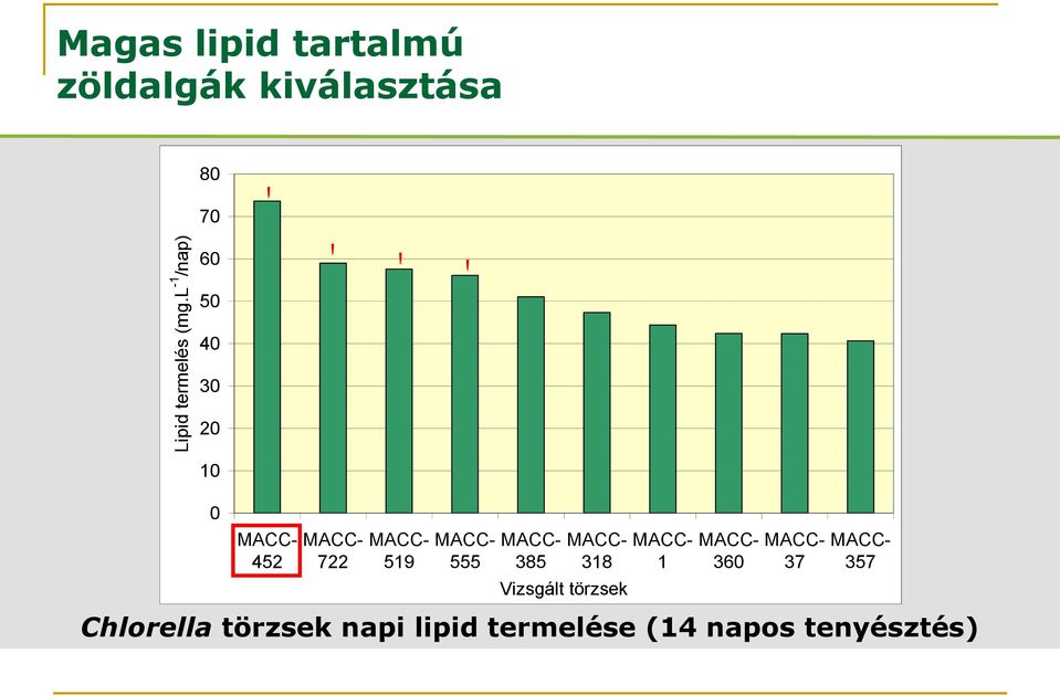 !! 10 0 MACC- 452 MACC- 722 MACC- 519 MACC- 555 MACC- 385 MACC- 318