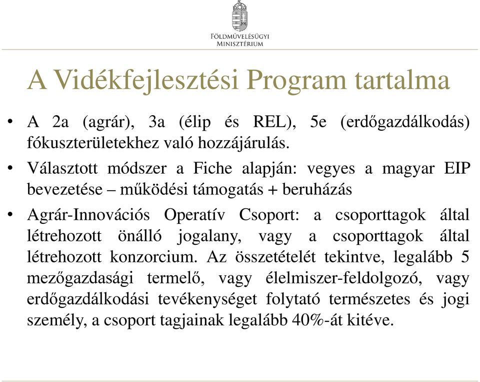 csoporttagok által létrehozott önálló jogalany, vagy a csoporttagok által létrehozott konzorcium.