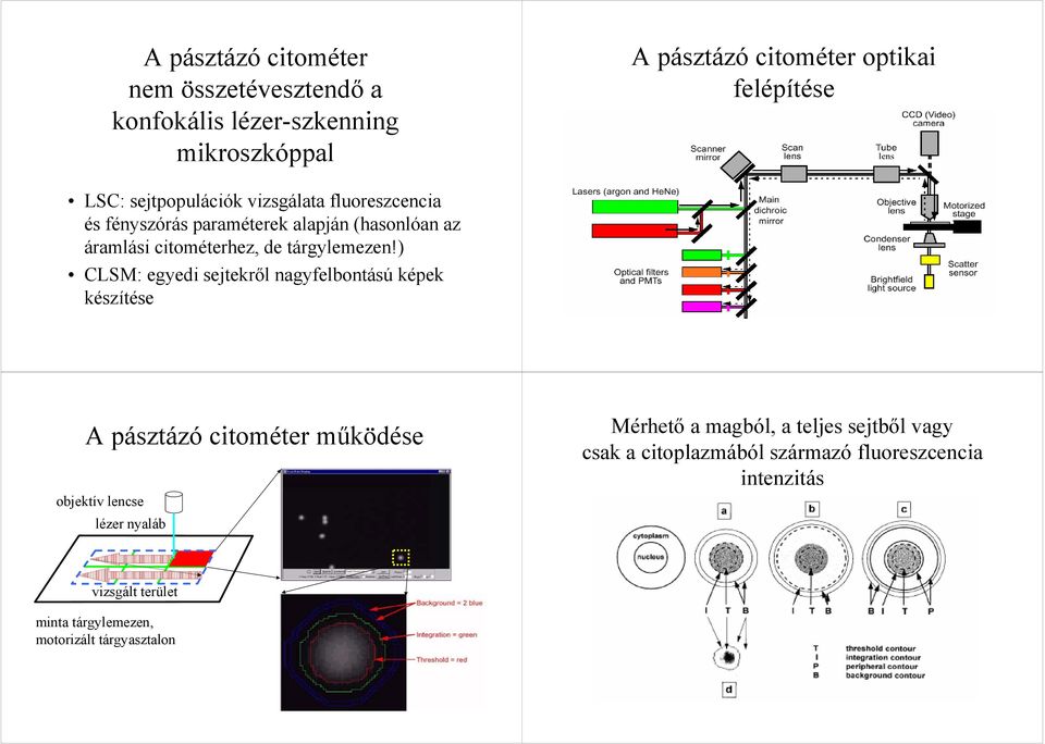 A lézer-szkenning citometria lehetőségei. Laser-scanning cytometer (LSC)  Pásztázó citométer. Az áramlási citometria fő korlátai - PDF Ingyenes  letöltés