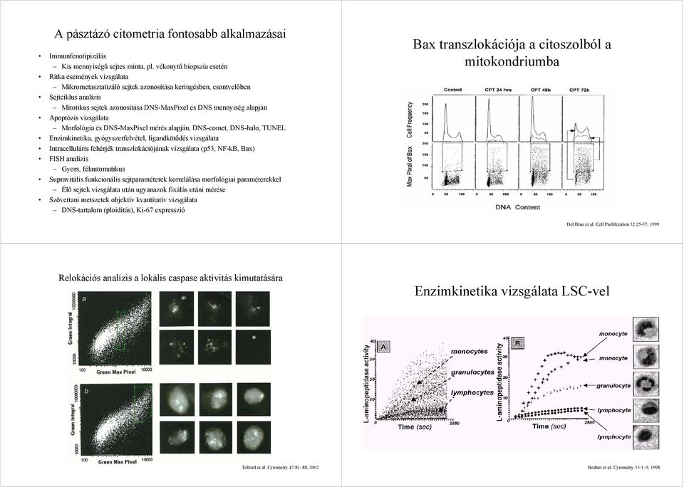 alapján Apoptózis vizsgálata Morfológia és DNS-MaxPixel mérés alapján, DNS-comet, DNS-halo, TUNEL Enzimkinetika, gyógyszerfelvétel, ligandkötődés vizsgálata Intracelluláris fehérjék