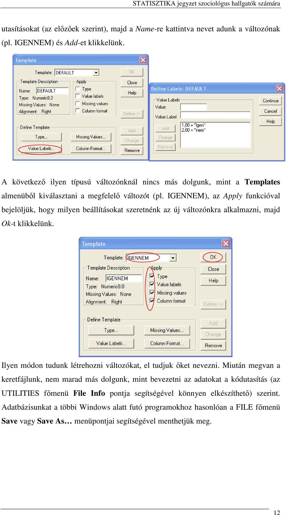 IGENNEM), az Apply funkcióval bejelöljük, hogy milyen beállításokat szeretnénk az új változónkra alkalmazni, majd Ok-t klikkelünk.