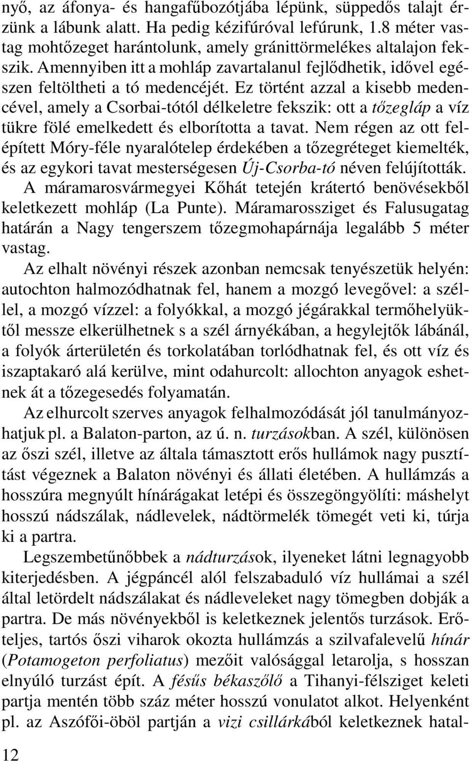 Ez történt azzal a kisebb medencével, amely a Csorbai-tótól délkeletre fekszik: ott a tőzegláp a víz tükre fölé emelkedett és elborította a tavat.