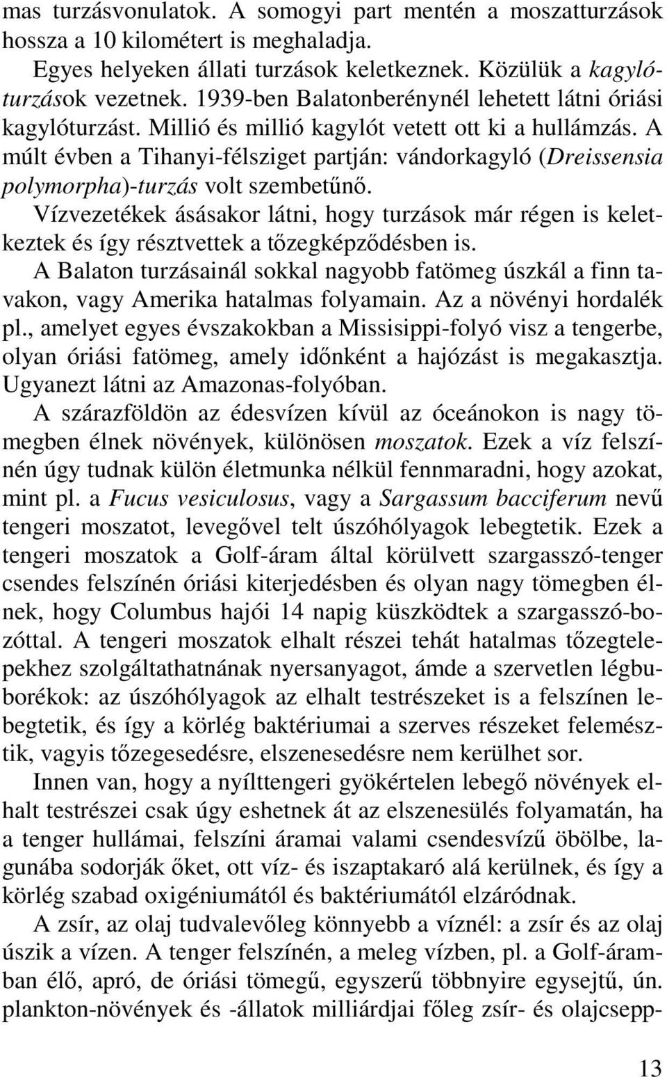 A múlt évben a Tihanyi-félsziget partján: vándorkagyló (Dreissensia polymorpha)-turzás volt szembetűnő.