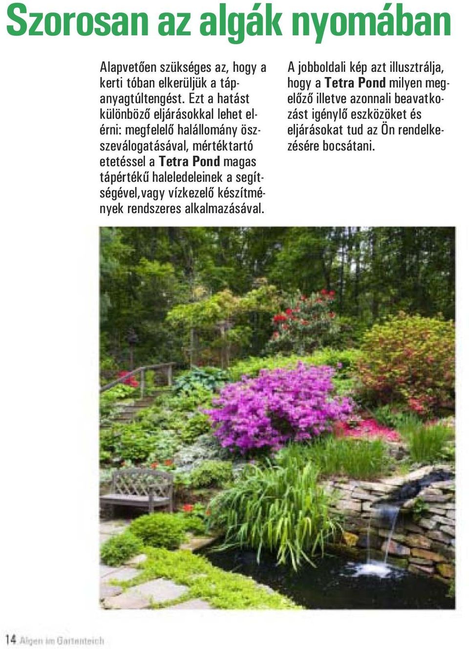 Pond magas tápértékű haleledeleinek a segítségével,vagy vízkezelő készítmények rendszeres alkalmazásával.
