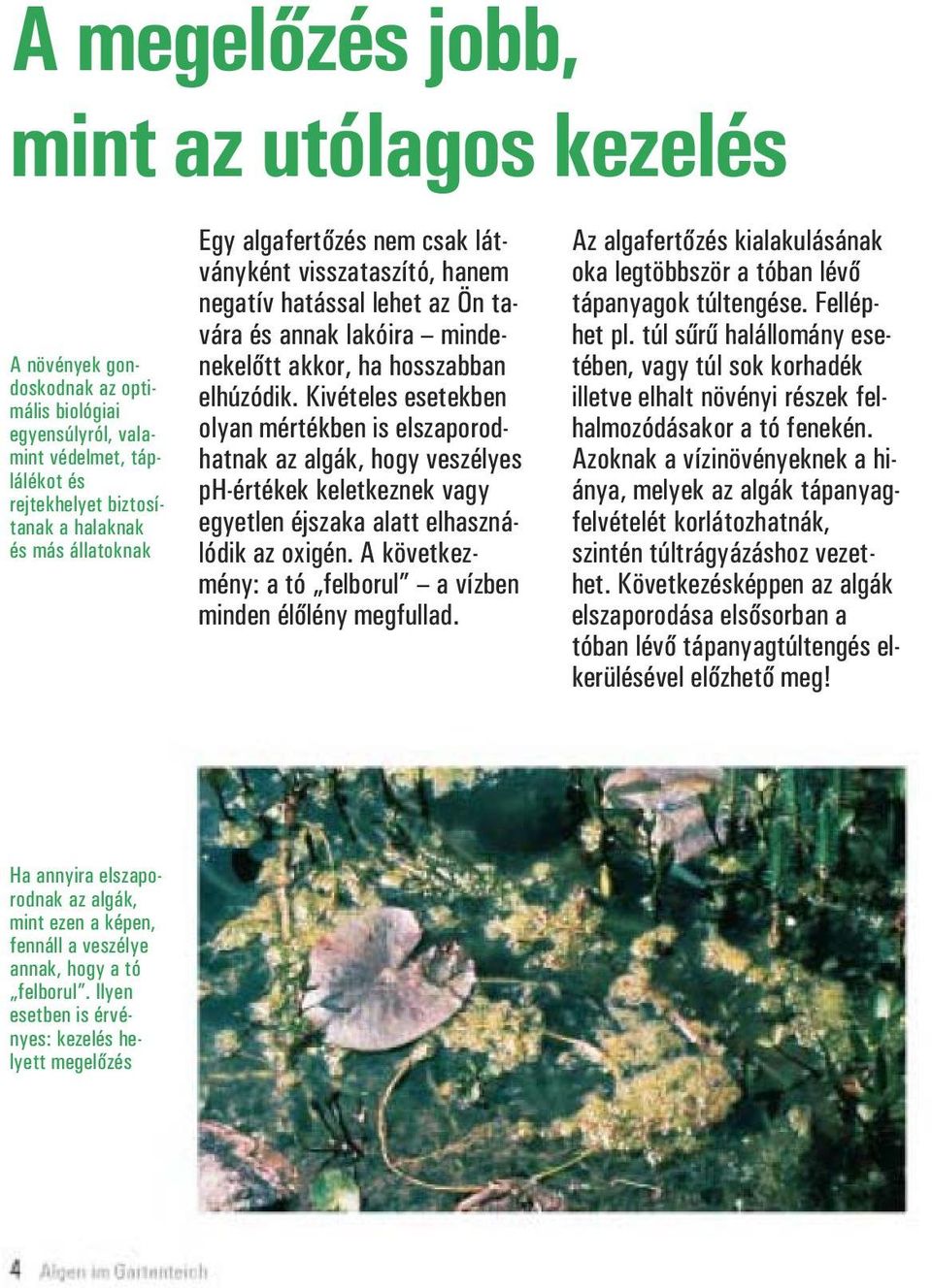 Kivételes esetekben olyan mértékben is elszaporodhatnak az algák, hogy veszélyes ph-értékek keletkeznek vagy egyetlen éjszaka alatt elhasználódik az oxigén.