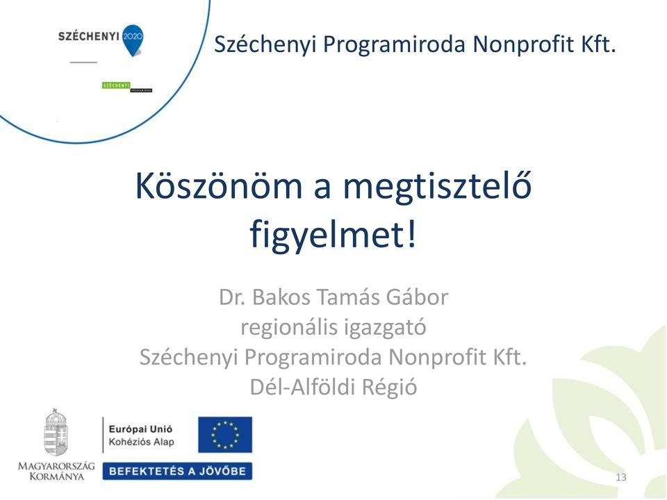 igazgató Széchenyi Programiroda