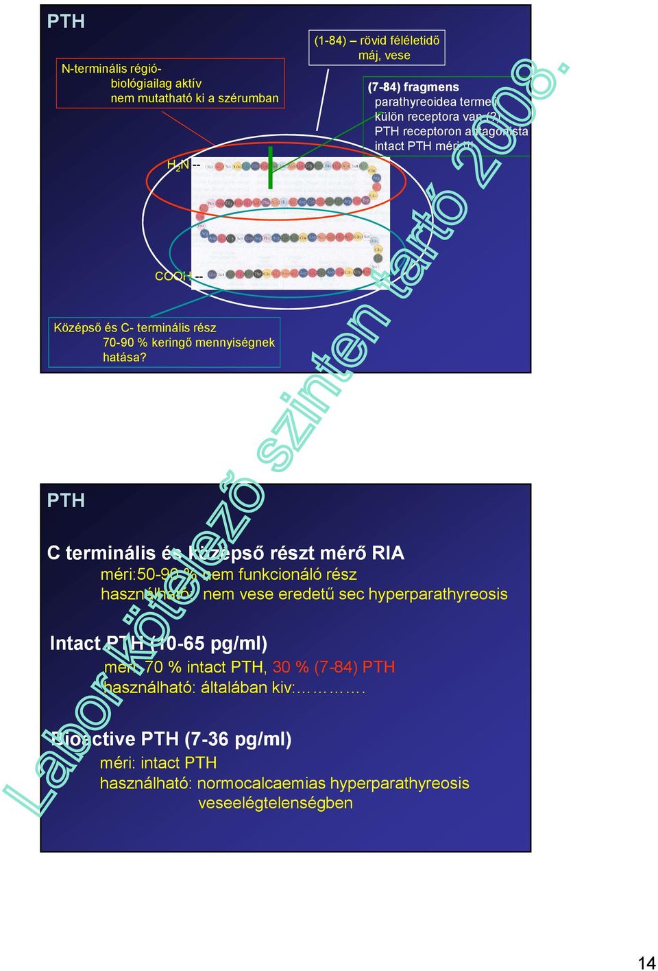 PTH C terminális és középső részt mérő RIA méri:50-90 % nem funkcionáló rész használható: nem vese eredetű sec hyperparathyreosis Intact PTH (10-65 pg/ml)