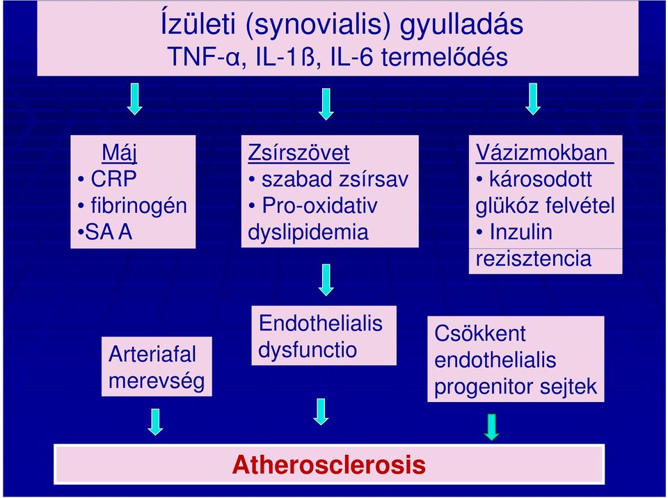 Vázizmokban károsodott glükóz felvétel Inzulin rezisztencia Arteriafal