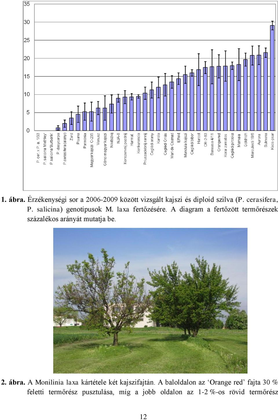 A diagram a fertőzött termőrészek százalékos arányát mutatja be. 2. ábra.