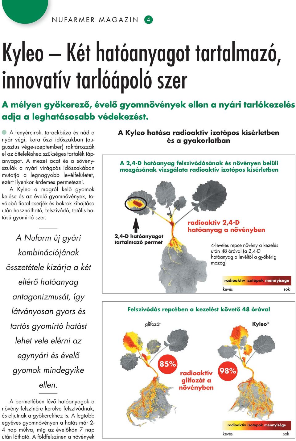 A mezei acat és a sö vény - szulák a nyári virágzás idôszakában mutatja a legnagyobb levélfelületet, ezért ilyenkor érdemes permetezni.