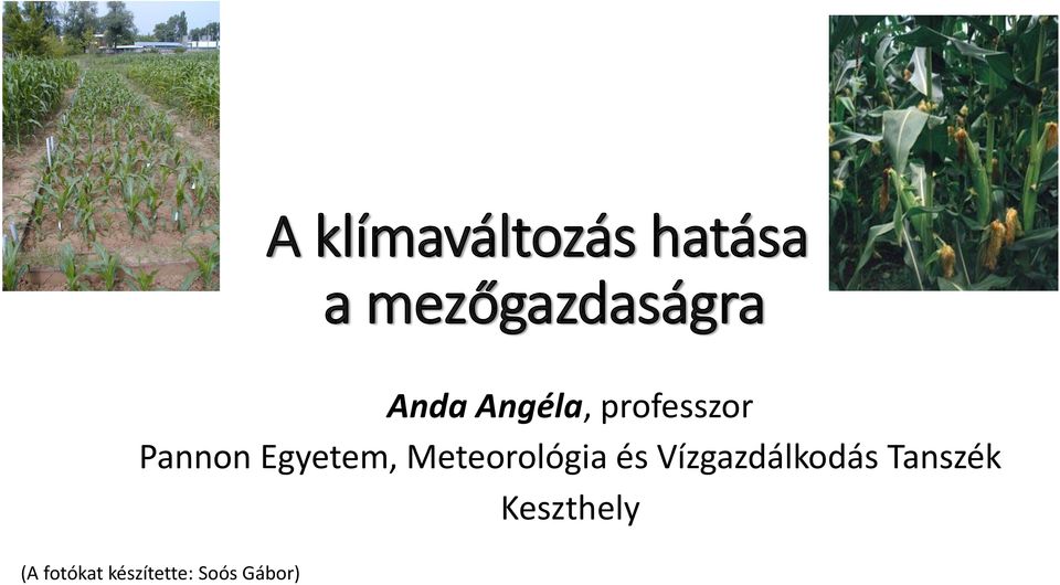 Meteorológia és Vízgazdálkodás Tanszék