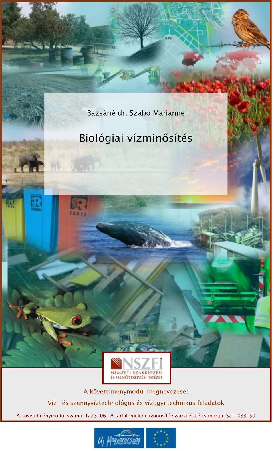 megnevezése: Víz- és szennyvíztechnológus és vízügyi