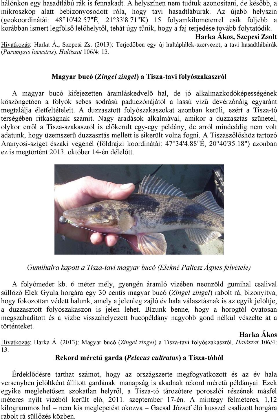 , Szepesi Zs. (2013): Terjedőben egy új haltáplálék-szervezet, a tavi hasadtlábúrák (Paramysis lacustris). Halászat 106/4: 13.